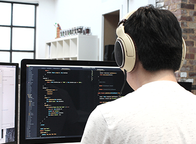 Desarrollo de Software